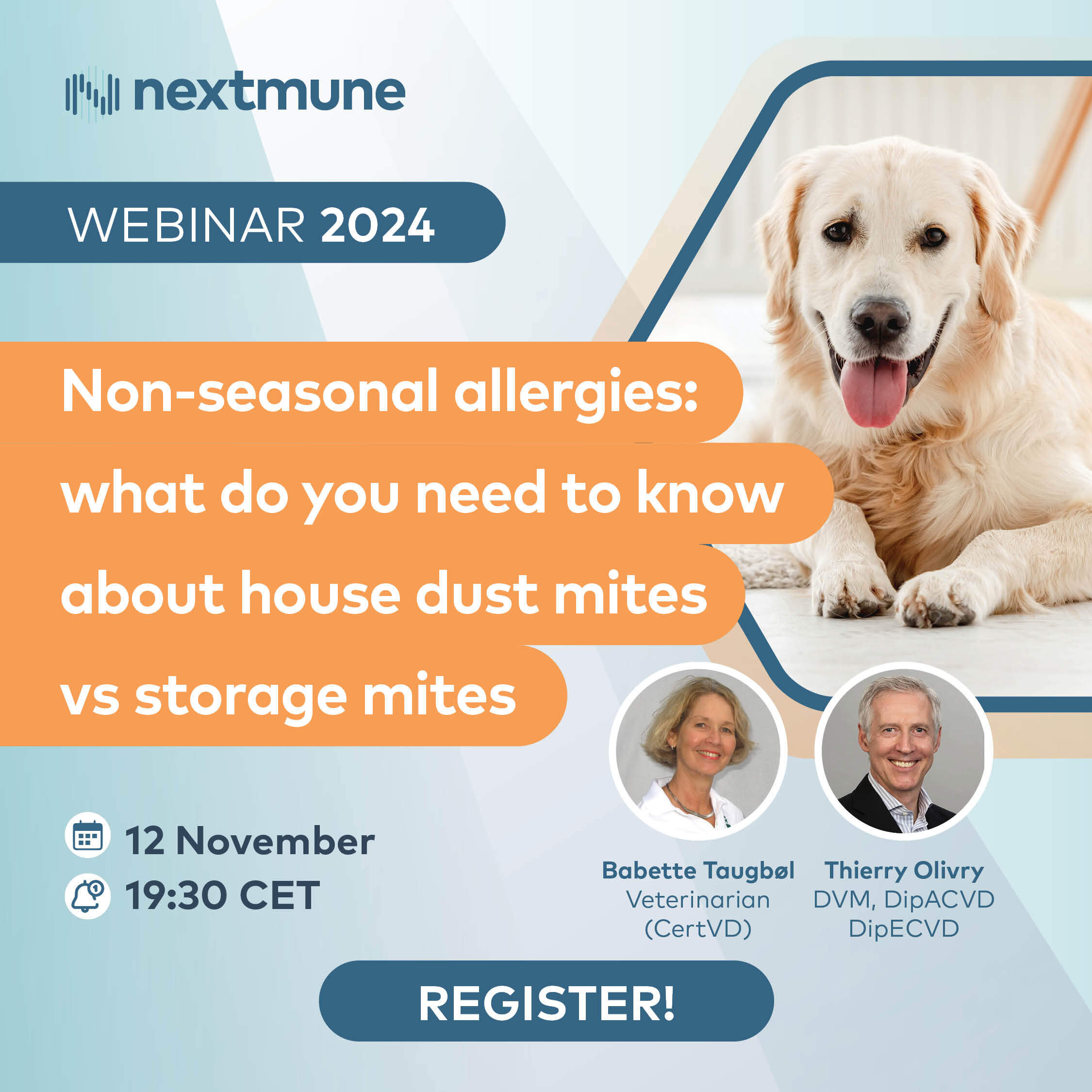 Nonseasonal allergies what do you need to know about house dust mites